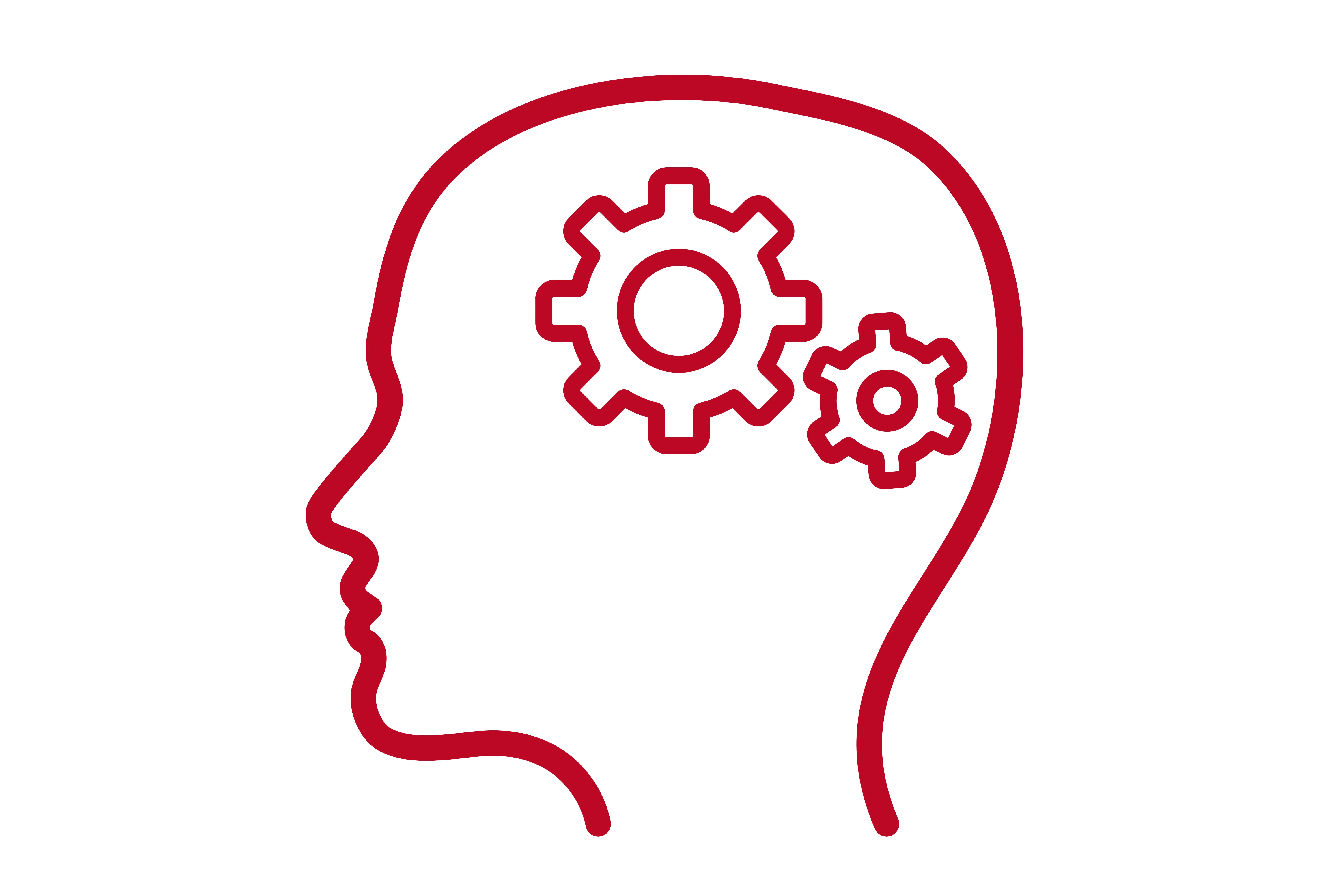 Consumer Attitude and Behavior Studies